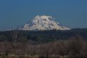 Near Olymia, Washington